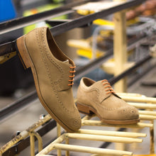 Load image into Gallery viewer, Camel Suede Longwing Blucher - Longwing Blucher