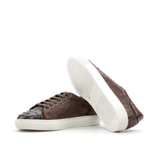 Load image into Gallery viewer, Dark &amp; Med Brown Ostrich Classic Trainers

